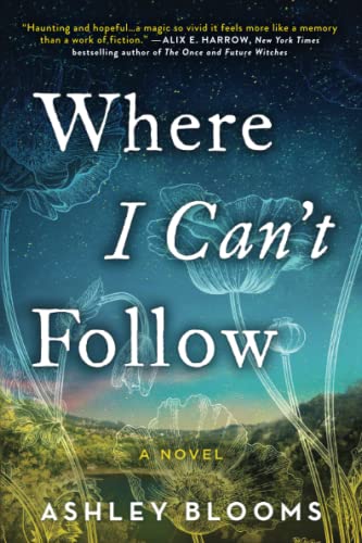 Beispielbild fr Where I Can't Follow: A Novel zum Verkauf von ZBK Books