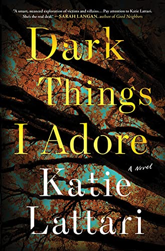 Imagen de archivo de Dark Things I Adore: A Novel a la venta por More Than Words
