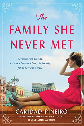 Beispielbild fr The Family She Never Met : A Novel zum Verkauf von Better World Books