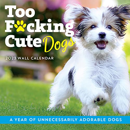 9781728258850: 2023 Too F*cking Cute Dogs Wall Calendar: A Year of D*mn  Adorable Pooches (Funny Monthly Calendar & White Elephant Gag Gift for Dog  Lovers) (Calendars & Gifts to Swear By) -