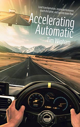 Stock image for Accelerating Automatic: Lead Transformation, Inspire Performance, Coach Discipline, and Tap into Team Flow for sale by Chiron Media