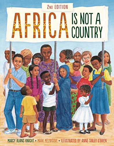 9781728460383: Africa Is Not a Country