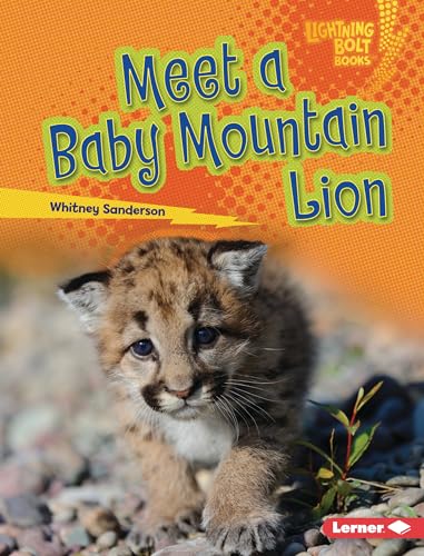 9781728491127: Meet a Baby Mountain Lion (Lightning Bolt Books: Baby North American Animals)