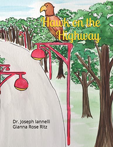 Stock image for Hawk on the Highway [Soft Cover ] for sale by booksXpress