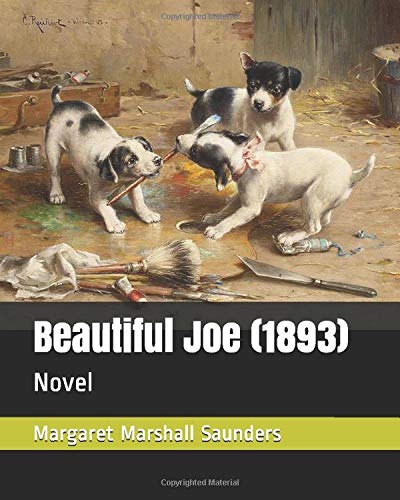 Stock image for Beautiful Joe (1893): Novel for sale by Revaluation Books