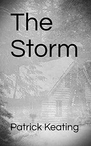 Imagen de archivo de The Storm a la venta por Revaluation Books