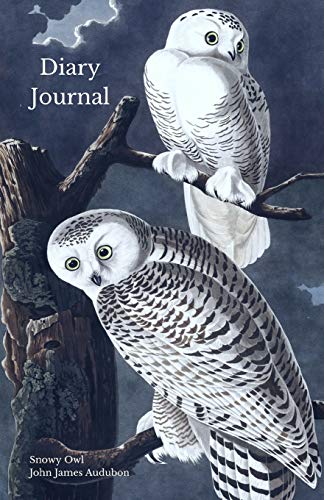 Stock image for Diary Journal: Snowy Owl [Soft Cover ] for sale by booksXpress