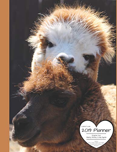 Imagen de archivo de LLama Love 2019 Planner Organize Your Weekly, Monthly, & Daily Agenda: Features Year at a Glance Calendar, List of Holidays, Motivational Quotes and Plenty of Note Space a la venta por Ergodebooks