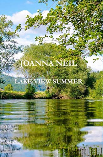 Stock image for LAKE VIEW SUMMER for sale by WorldofBooks