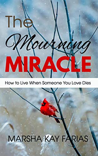 Stock image for The Mourning Miracle: How to Live When Someone You Love Dies for sale by HPB-Red