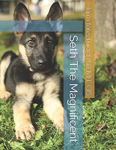 Stock image for Seth The Magnificent for sale by Lucky's Textbooks