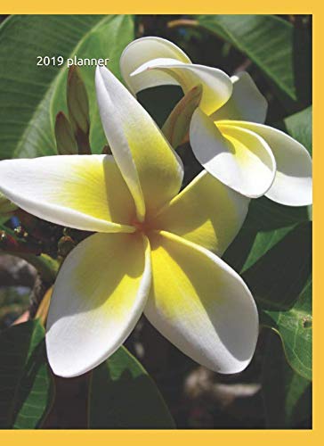 Beispielbild fr 2019 PLANNER: Topcal Frangipani Flower Weekly monthly planner with blank pages 2019 zum Verkauf von Revaluation Books