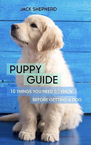 Stock image for PUPPY GUIDE: 10 Things You Need to Know Before Getting a Dog for sale by Lucky's Textbooks