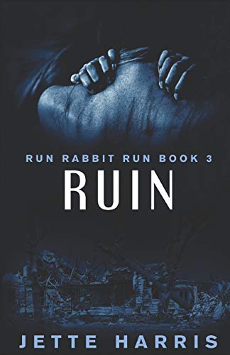 Stock image for RUIN: a serial killer thriller (Run Rabbit Run, Band 3) for sale by Buchpark