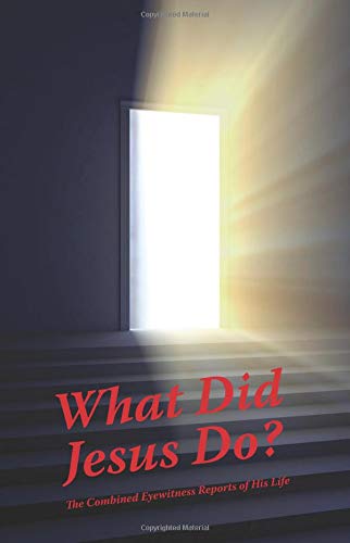 Stock image for What Did Jesus Do?: The Combined Eyewitness Reports of His Life for sale by Revaluation Books