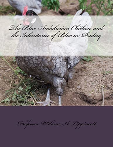 Imagen de archivo de The Blue Andalusian Chicken and the Inheritance of Blue in Poultry a la venta por THE SAINT BOOKSTORE