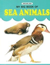 Stock image for My Big Book Of Sea Animals for sale by Reuseabook