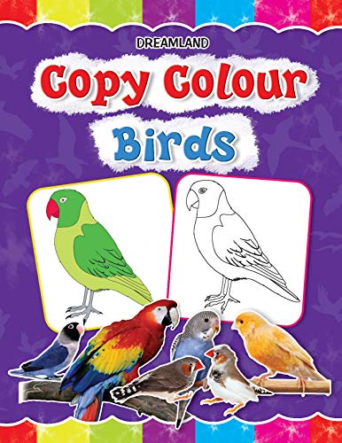 Stock image for Copy Colour-Birds for sale by Books Puddle