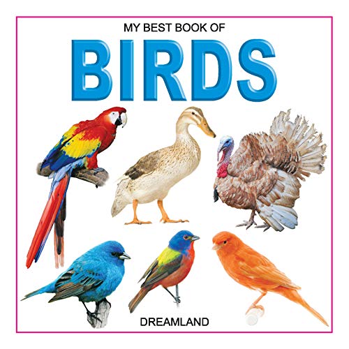 Beispielbild fr Birds (My Best Book) zum Verkauf von HPB-Diamond