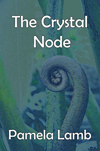 Stock image for The Crystal Node for sale by Lucky's Textbooks