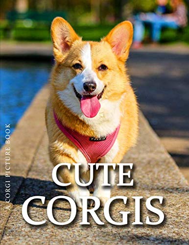 9781730782152: Corgi Picture Book - Cute Corgis