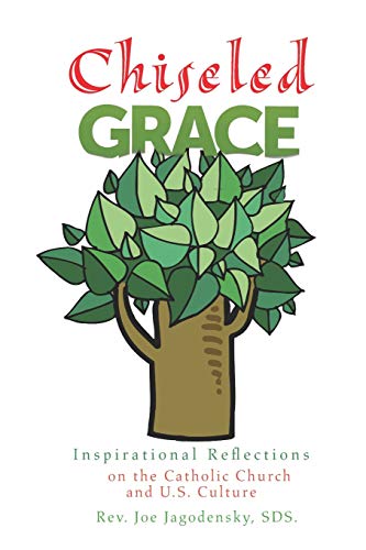 Imagen de archivo de Chiseled Grace: Inspirational reflections on the Catholic Church and U.S. culture a la venta por Revaluation Books