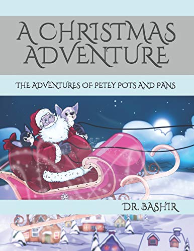 Stock image for A Christmas Adventure: The Adventures of Petey Pots and Pans for sale by ThriftBooks-Atlanta