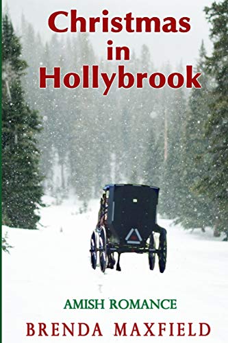 Beispielbild fr Christmas in Hollybrook: Amish Romance zum Verkauf von SecondSale