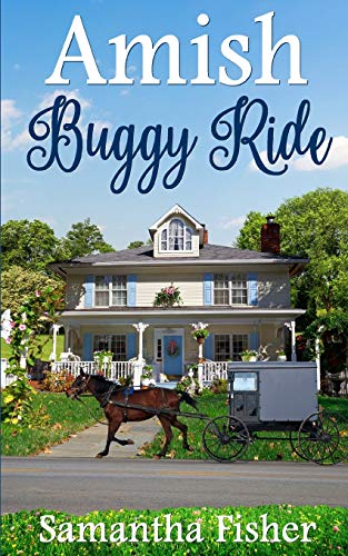 9781731279477: Amish Buggy Ride