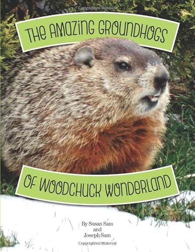 Imagen de archivo de The Amazing Groundhogs of Woodchuck Wonderland a la venta por Revaluation Books