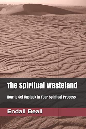 Stock image for The Spiritual Wasteland: How to Get Unstuck in Your Spiritual Process for sale by Revaluation Books