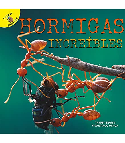 Imagen de archivo de Hormigas increbles / Amazing Ants a la venta por Revaluation Books