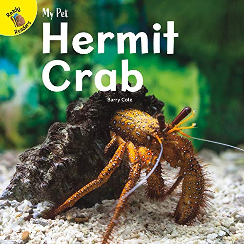 9781731605689: HERMIT CRAB (My Pet, Guided Reading Level D)
