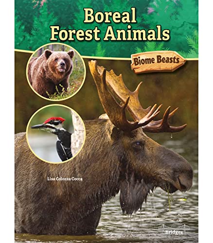 Beispielbild fr Boreal Forest Animals zum Verkauf von Buchpark