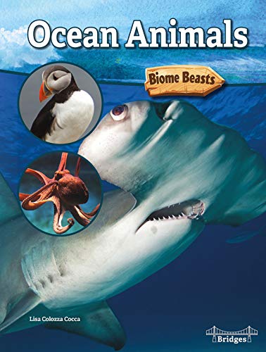 Beispielbild fr Ocean Animals zum Verkauf von Buchpark