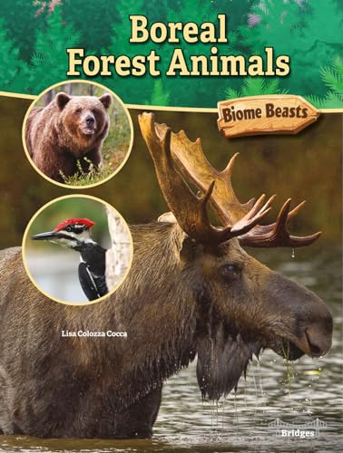 9781731614391: Boreal Forest Animals (Biome Beasts)