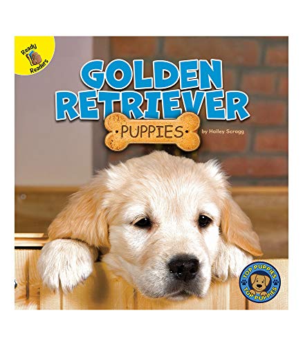 Stock image for Rourke Educational Media Top Puppies: Golden Retriever Puppies?Children's Book About Golden Retrievers, Preschool-Grade 2 (16 pgs) Reader for sale by Orion Tech
