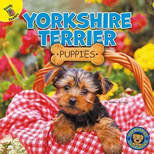 Stock image for Top Puppies: Yorkshire Terrier Puppies ? Rourke NonFiction Reader, Grades PK?2 for sale by Decluttr