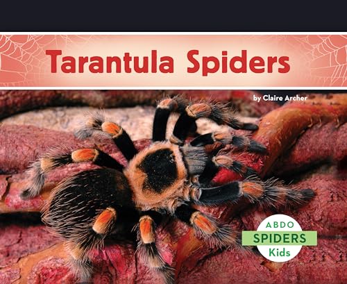 Imagen de archivo de Tarantula Spiders a la venta por Revaluation Books