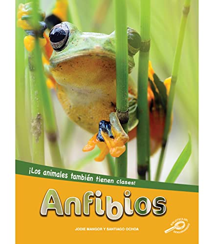 9781731654564: Anfibios / Amphibians (Los Animales Tambin Tienen Clases)