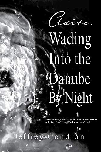 Imagen de archivo de Claire, Wading Into the Danube By Night a la venta por Better World Books