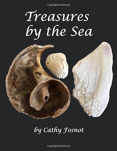 Beispielbild fr Treasures by the Sea zum Verkauf von WorldofBooks