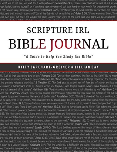 Imagen de archivo de Bible Journal: Scripture IRL a la venta por Revaluation Books