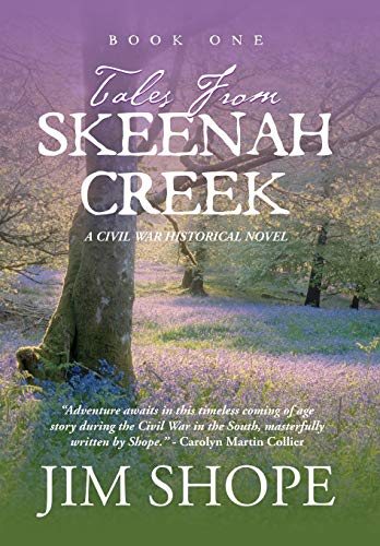 Stock image for Tales From Skeenah Creek: A Civil War Historical Fiction Novel for sale by GF Books, Inc.