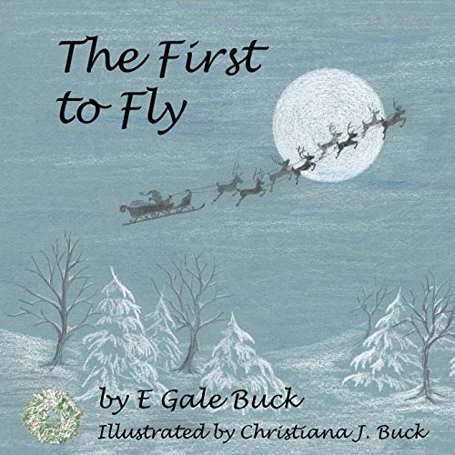 Imagen de archivo de The First to Fly a la venta por Lucky's Textbooks