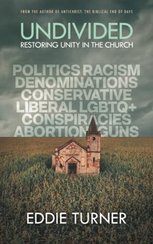 Stock image for Undivided: Restoring Unity In The Church for sale by Lucky's Textbooks