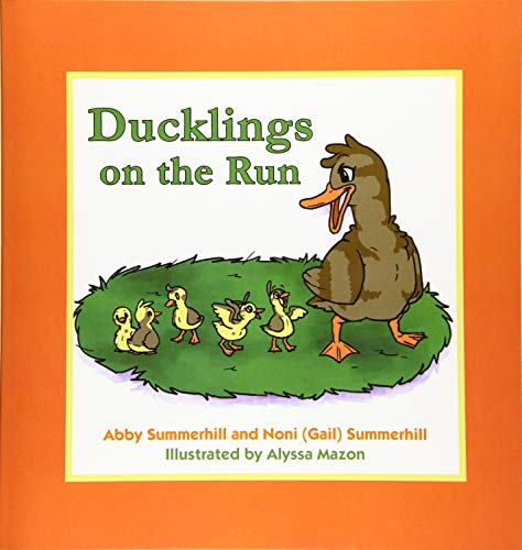 Stock image for Ducklings on the Run for sale by Gulf Coast Books