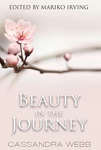 Stock image for Beauty in the Journey for sale by Lucky's Textbooks