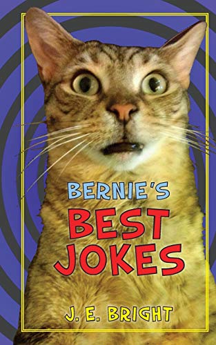 9781732338104: Bernie's Best Jokes