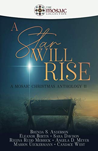 Beispielbild fr A Star Will Rise: A Mosaic Christmas Anthology II zum Verkauf von HPB Inc.